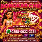 thumbnail-agen-resmi-terima-bongkar-chip-higgs-domino-island-wa0858-0922-3364-0