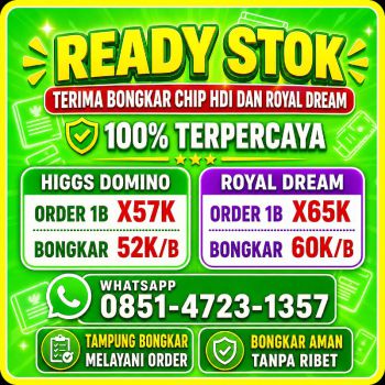 Terima bongkaran chip hdi Higgs domino terpercaya wa 085147231357