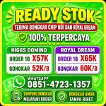 thumbnail-terima-bongkaran-chip-hdi-higgs-domino-terpercaya-wa-085147231357-0