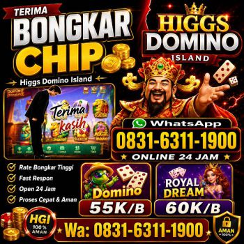 TERIMA BONGKAR CHIP HDI HIGGS DOMINO ISLAND JUAL BELI CHIP HDI WA 083163111900