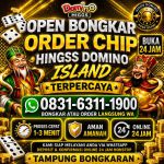 thumbnail-terima-bongkar-chip-hdi-higgs-domino-island-dan-royal-dream-wa-0831-6311-1900-0
