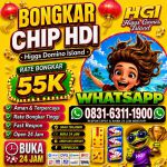 thumbnail-terima-bongkar-chip-hdi-higgs-domino-island-jual-beli-chip-hdi-wa-083163111900-0