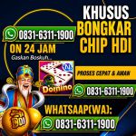 thumbnail-khusus-terima-bongkar-chip-domino-island-higgs-buka-24jam-wa0831-6311-1900-0