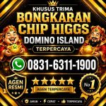 thumbnail-khusus-terima-bongkar-chip-domino-island-higgs-buka-24jam-wa0831-6311-1900-0