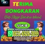 thumbnail-khusus-terima-bongkar-chip-domino-island-higgs-buka-24jam-wa0831-6928-3099-0