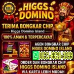 thumbnail-khusus-terima-bongkar-chip-domino-island-higgs-buka-24jam-wa0831-6928-3099-0