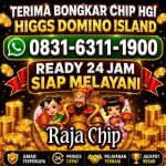 thumbnail-terima-bongkar-chip-hdi-higgs-domino-island-aman-dan-terpercaya-wa-083163111900-0