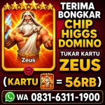 thumbnail-terima-bongkar-chip-hdi-higgs-domino-island-jual-beli-chip-hdi-wa-083163111900-0