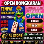 thumbnail-terima-bongkar-chip-hdi-higgs-domino-island-dan-royal-dream-wa-0831-6311-1900-0