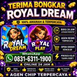 thumbnail-terima-bongkar-chip-hdi-higgs-domino-island-dan-royal-dream-wa-0831-6311-1900-0