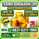 thumbnail-khusus-terima-bongkar-chip-domino-island-higgs-buka-24jam-wa0831-6311-1900-0