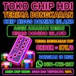 thumbnail-terima-bongkar-chip-domino-wa-085809223369-0