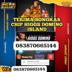 thumbnail-terima-bongkar-higgs-domino-island-games-1