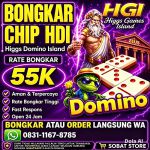 thumbnail-terima-bongkar-chip-higgs-domino-island-aman-dan-terpercaya-0