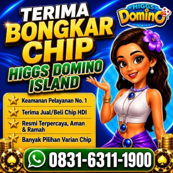TERIMA BONGKAR CHIP HDI HIGGS DOMINO ISLAND DAN ROYAL DREAM WA 0831-6311-1900