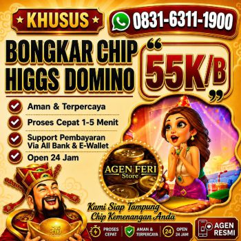 TERIMA BONGKAR CHIP HDI HIGGS DOMINO ISLAND JUAL BELI CHIP HDI WA 083163111900