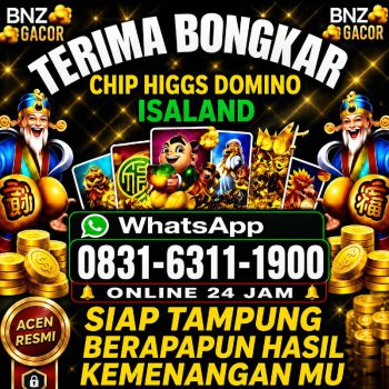 TERIMA BONGKAR CHIP HDI HIGGS DOMINO ISLAND DAN ROYAL DREAM WA 0831-6311-1900