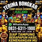 thumbnail-terima-bongkar-chip-hdi-higgs-domino-island-dan-royal-dream-wa-0831-6311-1900-0