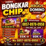 thumbnail-agen-resmi-terima-bongkar-chip-domino-island-higgswa0857-8978-0958-0