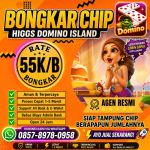 thumbnail-agen-terima-bongkar-chip-hdi-higgs-domino-island-wa-0857-8978-0958-0