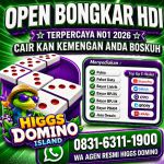 thumbnail-khusus-terima-bongkar-chip-domino-island-higgs-buka-24jam-wa0831-6311-1900-0
