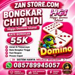 thumbnail-terima-bongkaran-chip-higgs-domino-island-0