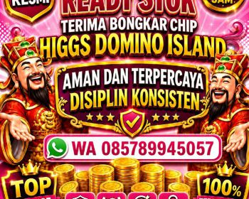 jual beli chip Higgs domino island