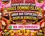 thumbnail-jual-beli-chip-higgs-domino-island-0