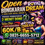 thumbnail-terima-bongkar-chip-hdi-higgs-domino-island-dan-royal-dream-wa-0831-6655-5712-0