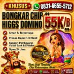 thumbnail-khusus-terima-bongkar-chip-domino-island-higgs-buka-24jam-wa0831-6655-5712-0