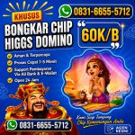 thumbnail-terima-bongkar-chip-hdi-higgs-domino-island-jual-beli-chip-hdi-wa-083166555712-0