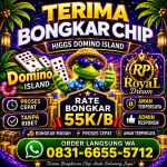 thumbnail-terima-bongkar-chip-hdi-higgs-domino-island-dan-royal-dream-wa-0831-6655-5712-0