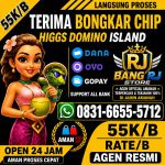 thumbnail-terima-bongkar-chip-hdi-higgs-domino-island-dan-royal-dream-wa-0831-6655-5712-0