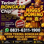 thumbnail-khusus-terima-bongkar-chip-domino-island-higgs-buka-24jam-wa0831-6311-1900-0