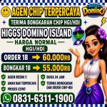thumbnail-terima-bongkar-chip-hdi-higgs-domino-island-jual-beli-chip-hdi-wa-083163111900-0