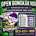 thumbnail-khusus-terima-bongkar-chip-domino-island-higgs-buka-24jam-wa0831-6311-1900-0