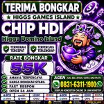 thumbnail-terima-bongkar-chip-hdi-higgs-domino-island-jual-beli-chip-hdi-wa-083163111900-0