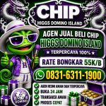 thumbnail-khusus-terima-bongkar-chip-domino-island-higgs-buka-24jam-wa0831-6311-1900-0
