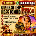 thumbnail-terima-bongkar-chip-hdi-higgs-domino-island-jual-beli-chip-hdi-wa-083163111900-0