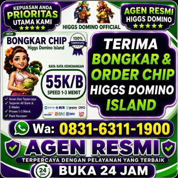 TERIMA BONGKAR CHIP HDI HIGGS DOMINO ISLAND JUAL BELI CHIP HDI WA 083163111900