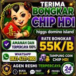 thumbnail-terima-bongkar-chip-hdi-higgs-domino-island-aman-dan-terpercaya-wa-083163111900-0