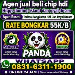 thumbnail-terima-bongkar-chip-hdi-higgs-domino-island-dan-royal-dream-wa-0831-6311-1900-0