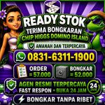 thumbnail-khusus-terima-bongkar-chip-domino-island-higgs-buka-24jam-wa0831-6311-1900-0