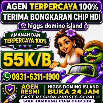 TERIMA BONGKAR CHIP HDI HIGGS DOMINO ISLAND JUAL BELI CHIP HDI WA 083163111900