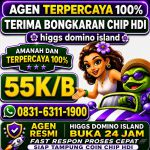thumbnail-terima-bongkar-chip-hdi-higgs-domino-island-jual-beli-chip-hdi-wa-083163111900-0