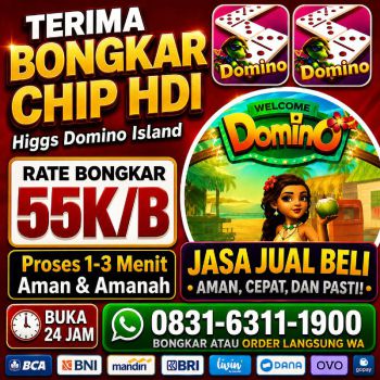 TERIMA BONGKAR CHIP HDI HIGGS DOMINO ISLAND JUAL BELI CHIP HDI WA 083163111900