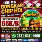 thumbnail-terima-bongkar-chip-hdi-higgs-domino-island-jual-beli-chip-hdi-wa-083163111900-0