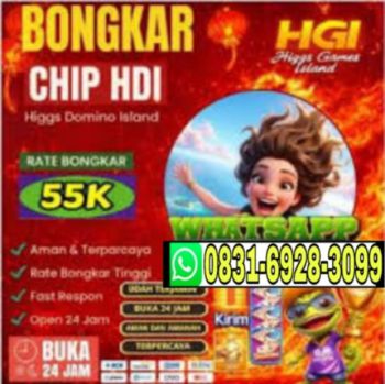 Terima bongkar chip island higgs Wa : 083169283099