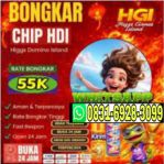 thumbnail-terima-bongkar-chip-island-higgs-wa-083169283099-0