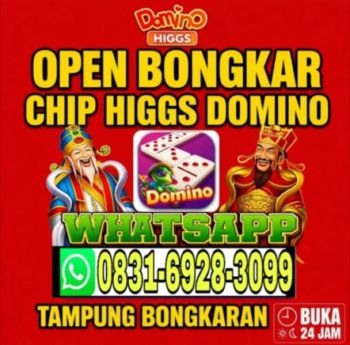 Terima bongkar chip island domino higgs Wa: 083169283099